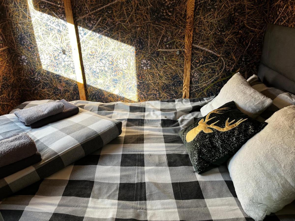 Lazy Deer - Camp * Staniszow